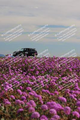 media/Jan-08-2023-SCCA SD (Sun) [[8f6a5b9391]]/Intermediate Group/Session 2 (Short Straight)/